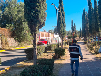 Imagen 6